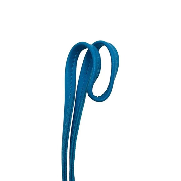 HERMES Rodeo Pegasus Size PM Lambskin Vert Fizz/Gold/Blue Zanzibar - Picture 4 of 7